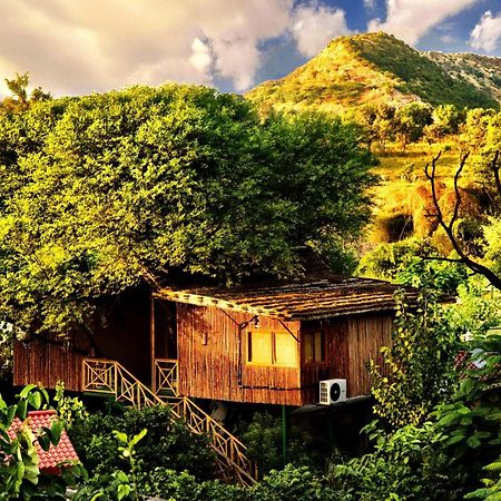The Tree House Resort Džajpur Exteriér fotografie