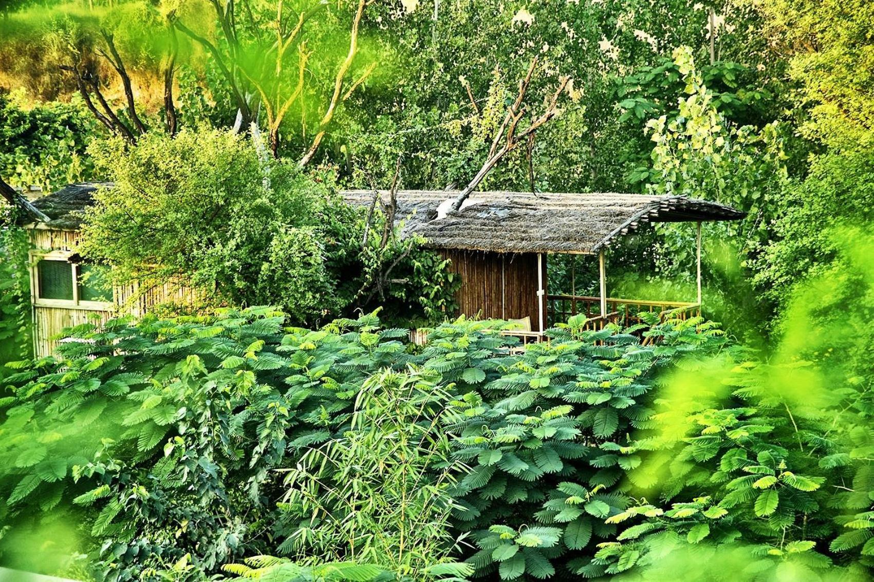 The Tree House Resort Džajpur Exteriér fotografie
